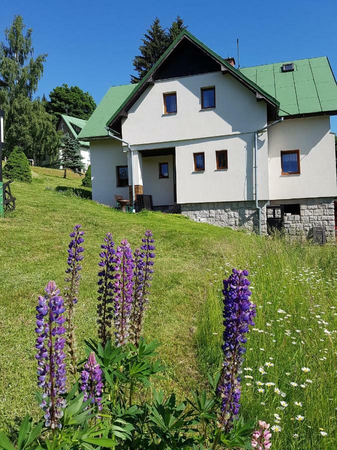 Špindlerŭv MlýnU Kobru公寓 外观 照片